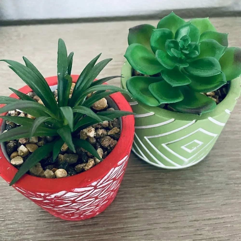 2-pc Boho Succulent Greenery Potted Plants Lot